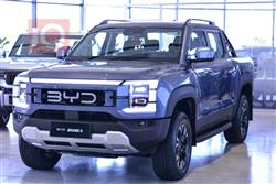 بي واي دي شارك 6